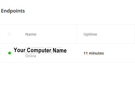 Endpoints PC Name & Uptime