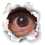 noellearndt